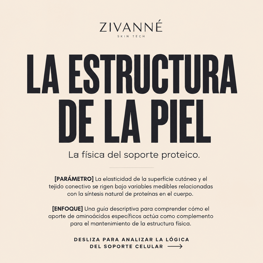 La estructura de la piel: la física del soporte proteico - Zivanne