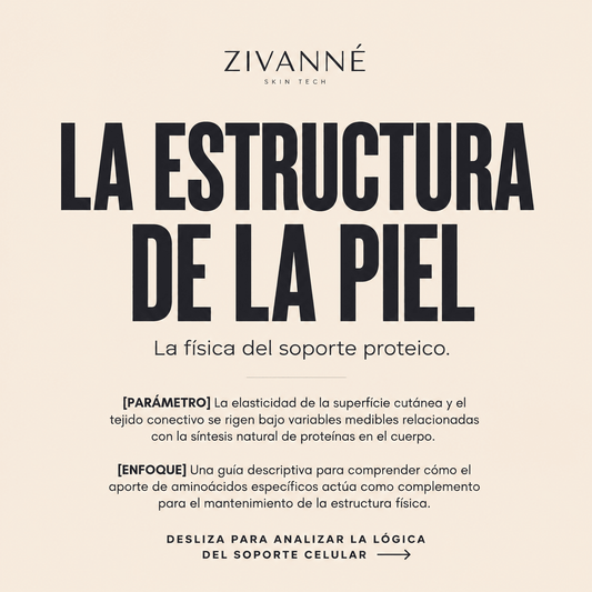 La estructura de la piel: la física del soporte proteico - Zivanne