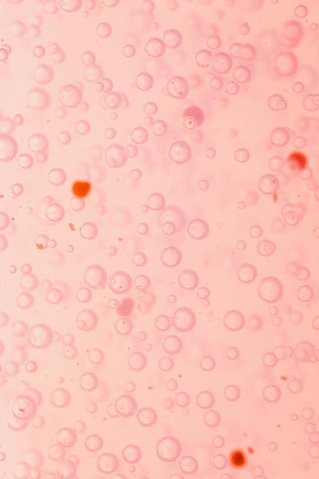 La Arquitectura de la Excelencia: Skin Cycling para Dominar su Capital Biológico