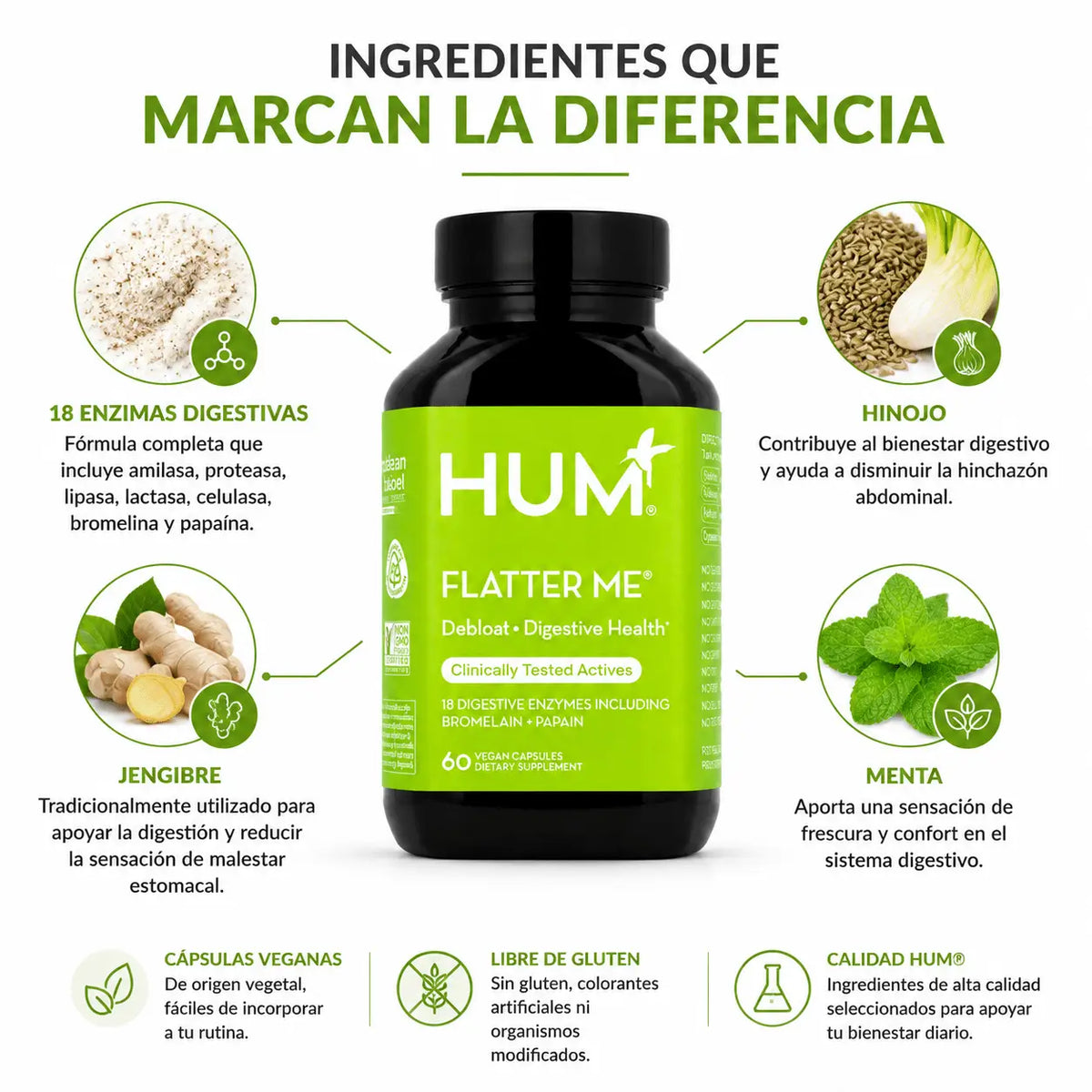 HUM Nutrition Flatter Me 60 Capsulas Soporte Digestivo Zivanne