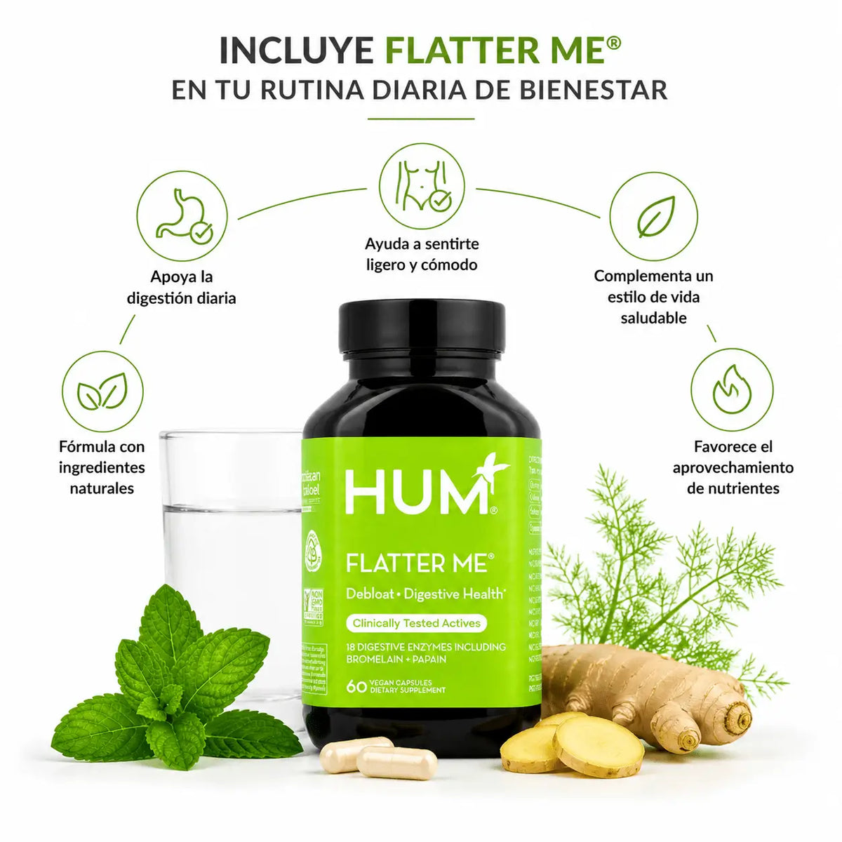 HUM Nutrition Flatter Me 60 Capsulas Soporte Digestivo Zivanne