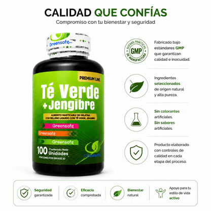 Té Verde + Jengibre Greensoftg – Cápsulas Blandas - Zivanne