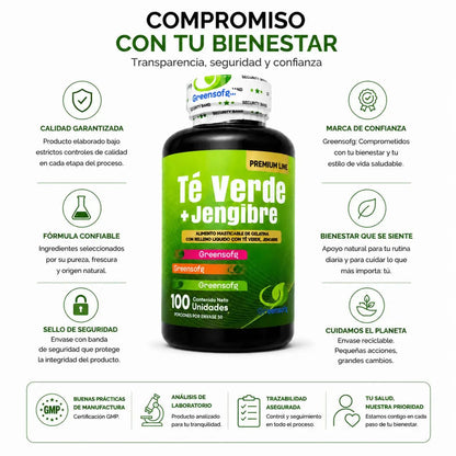 Té Verde + Jengibre Greensoftg – Cápsulas Blandas - Zivanne