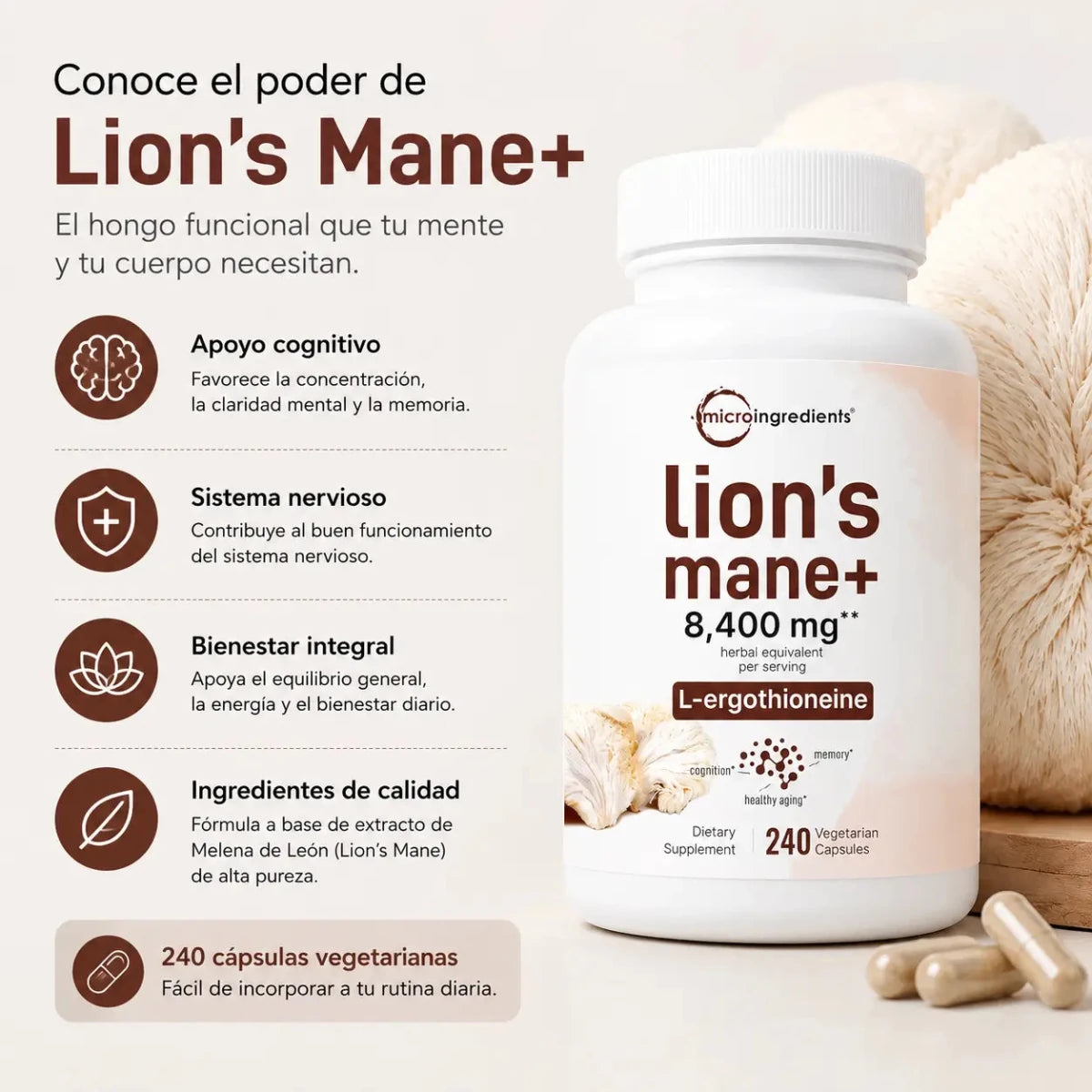 Melena de León Lion's Mane+ 240 cápsulas Zivanne