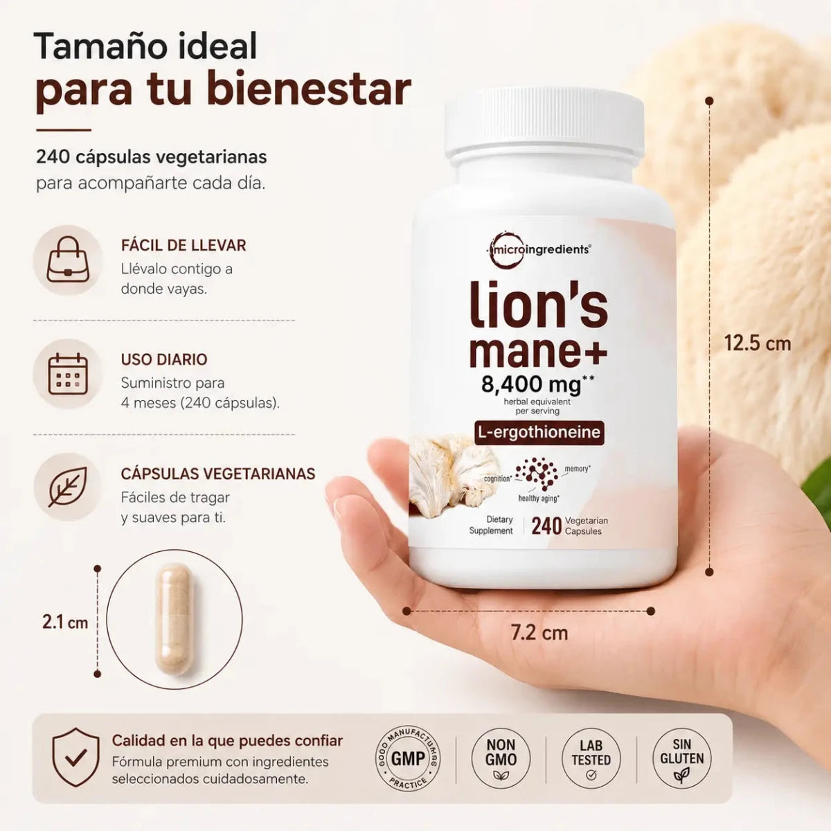 Melena de León Lion's Mane+ 240 cápsulas Zivanne